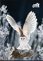 Füzet, tűzött, A4, sima, 80 lap, COOL BY VICTORIA 